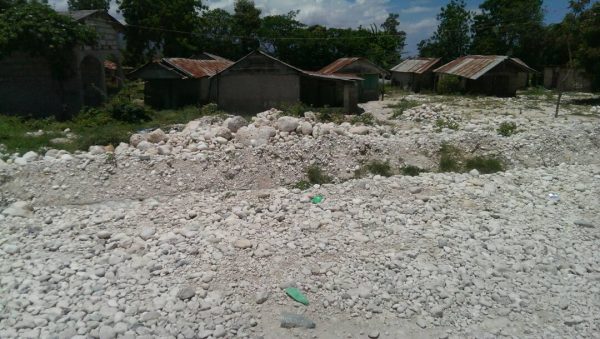Article : L’état d’urgence environnemental en Haïti